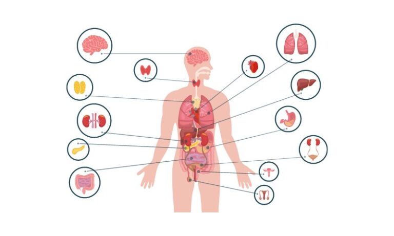 107+ Best Biology Project Ideas For High School Students