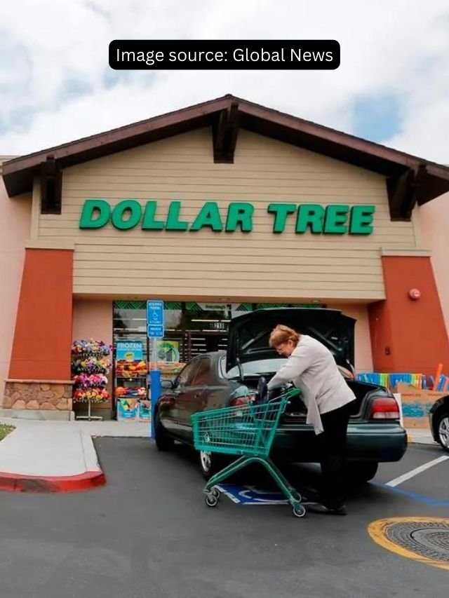 5 Dollar Tree Items Worth Purchasing Now