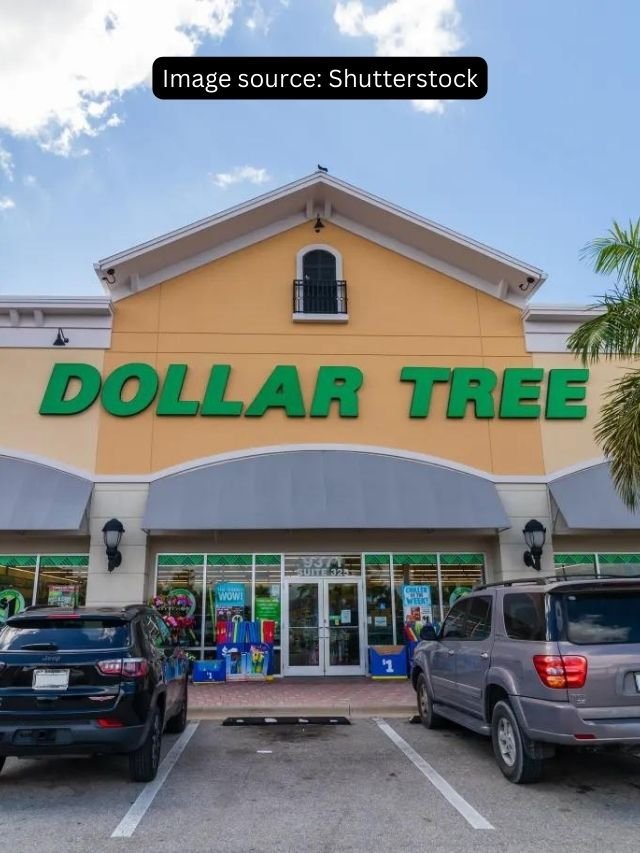 5 Dollar Tree Items Worth Purchasing Now