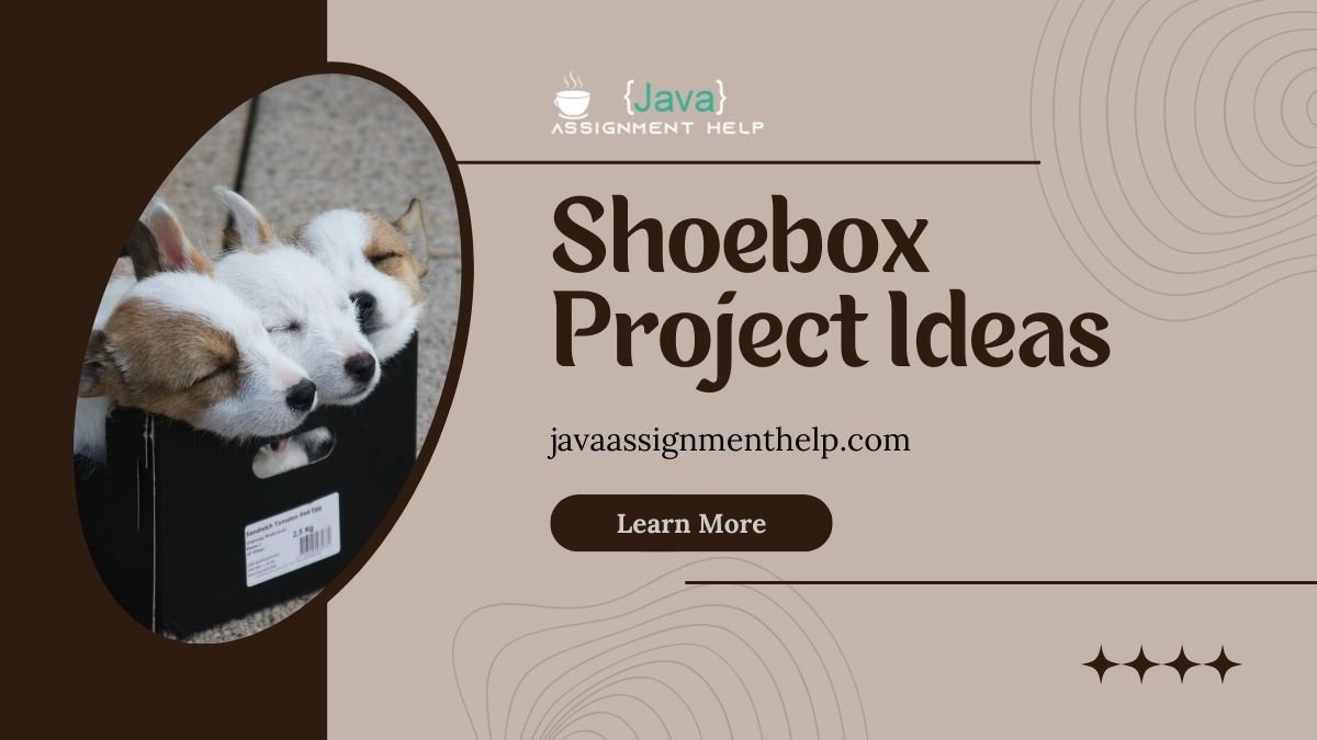 Shoebox Project Ideas