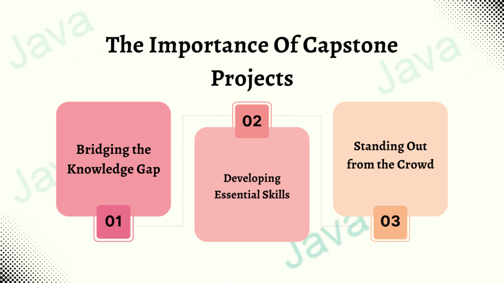 capstone project stem students