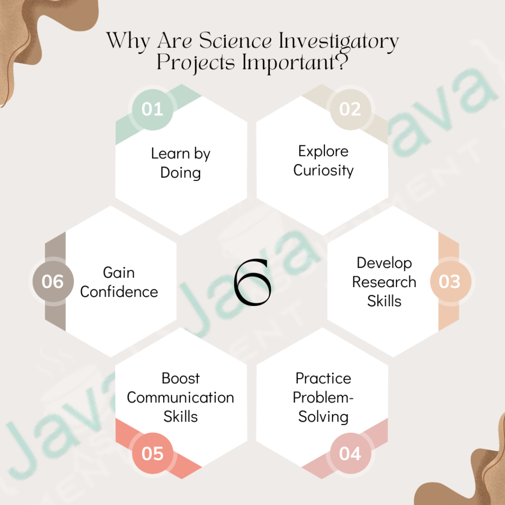Why Are Science Investigatory Projects Important?