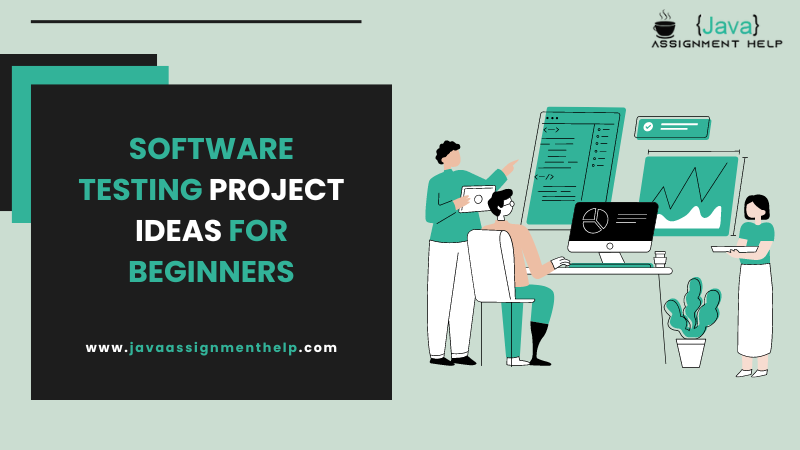 software testing project ideas