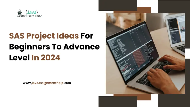 20 Best SAS Project Ideas For Beginners To Advance Level In 2024